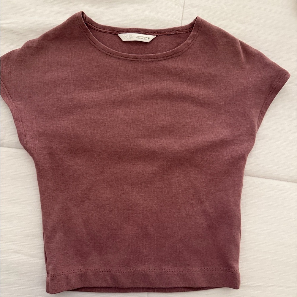 Zara Dusty Rose Ribbed Crewneck Crop Top